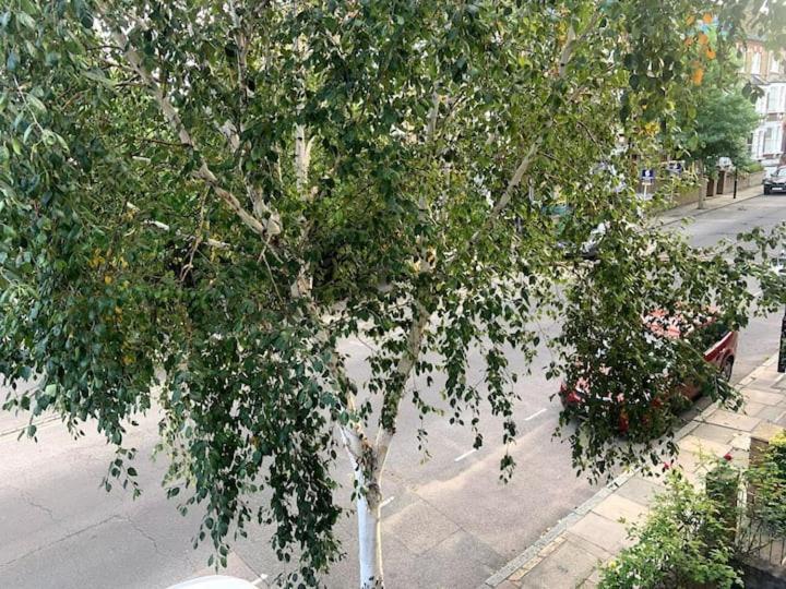 Lovely Spacious 1-Bedroom Flat In Tufnell Park Close To Central Londyn Zewnętrze zdjęcie